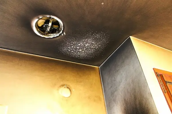 Smoke Damage Restoration Smoke Damage Restoration