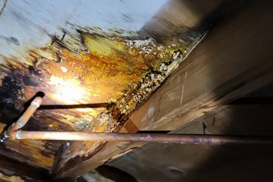 Smoke Damage Restoration That Restores Property Value Shelby Charter Twp, MI