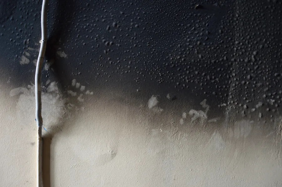 The Impact Of Smoke Damage Restoration On Project Success in Shelby Charter Twp, MI The Impact Of Smoke Damage Restoration On Project Success in Shelby Charter Twp, MI